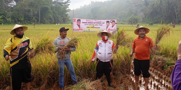 Gelar Panen Raya dan Launching Sekolah Tani, Irwan: Ini Konsen PKS, Petani Sejahtera, Indonesia Makin Berdaulat