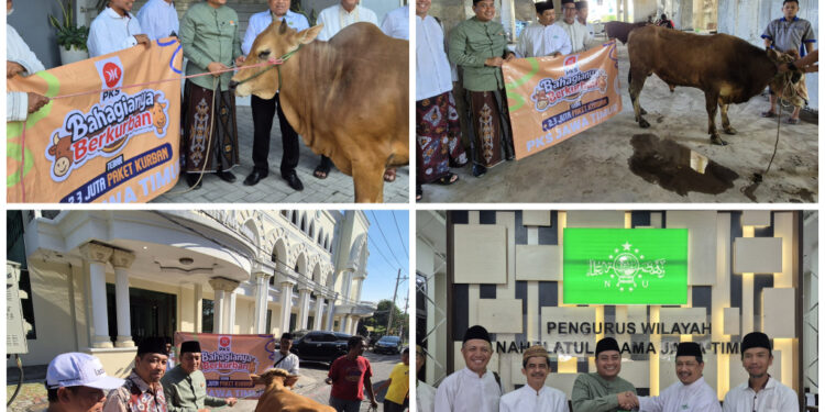 Serahkan Hewan Kurban ke PWNU, MUI, dan PWM, PKS Jatim: Bahagianya Berkurban, Eratkan Silaturahim Kuatkan Sinergi