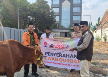 PKS Jatim Kirim Hewan Kurban untuk MUI, PWNU, dan Muhammadiyah