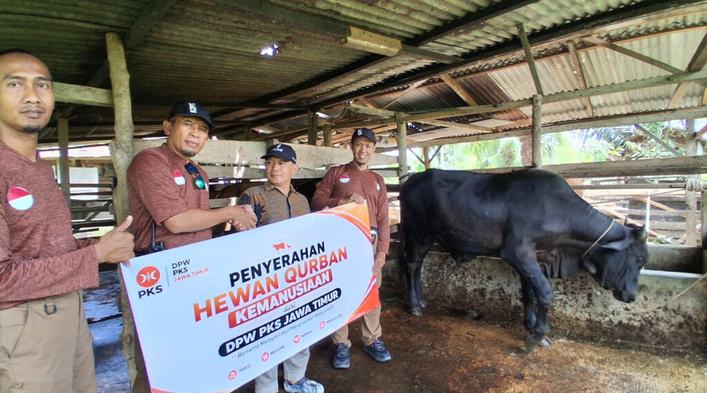 Tutup Aksi Kemanusiaan di Aceh Tamiang, PKS Jatim Serahkan Sapi Kurban
