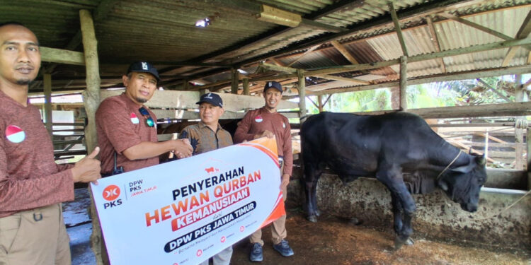 Tutup Aksi Kemanusiaan di Aceh Tamiang, PKS Jatim Serahkan Sapi Kurban